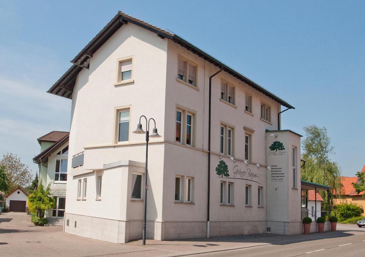 Hotel Der Gruene Baum Sinsheim Esterno foto